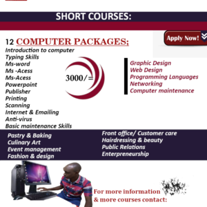 ICT SHORT COURSES INTAKE IN PROGRESS